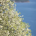 Appart hôtel Fiorella Sea View