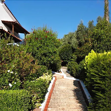 Aparthotel Fiorella Sea View 4*