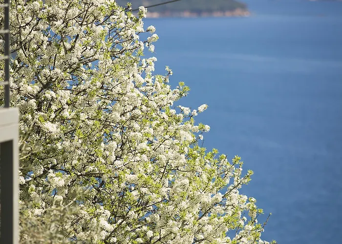 Aparthotel Fiorella Sea View